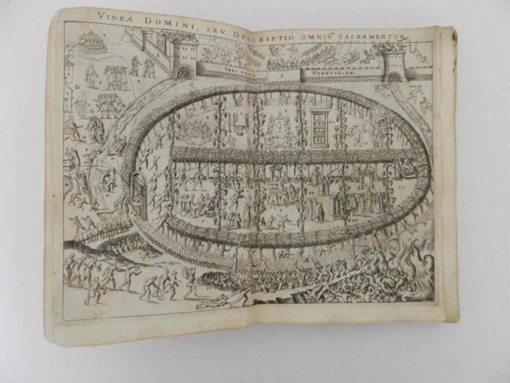 Vinea Domini. Cum brevi descriptione sacramentorum, et Paradisi, Limbi, Purgatorij, …