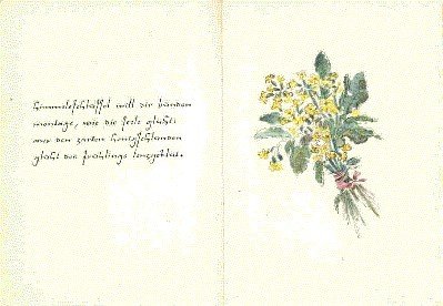 Sieben Sträusse von Friedrich Schnack. Aquarelle von Elsbeth Schneidler-Schwarz.