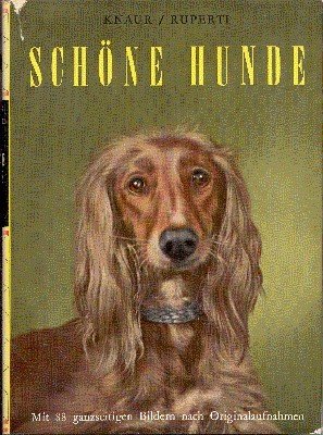 Schöne Hunde.