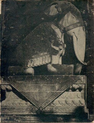 Der Elefantengesang.