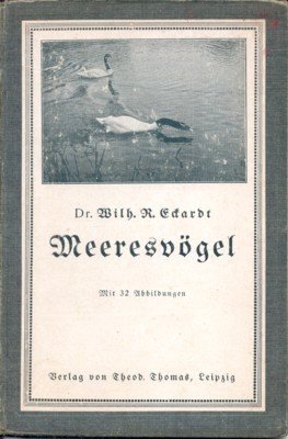 Meeresvögel.