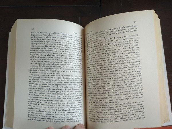 l'essere e il nulla saggio di ontologia fenomenologica