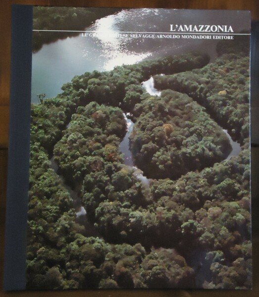 L'Amazzonia