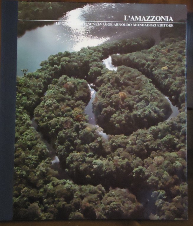 L'Amazzonia