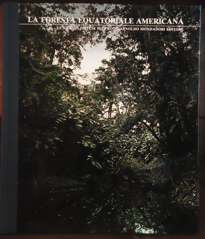 La foresta equatoriale americana