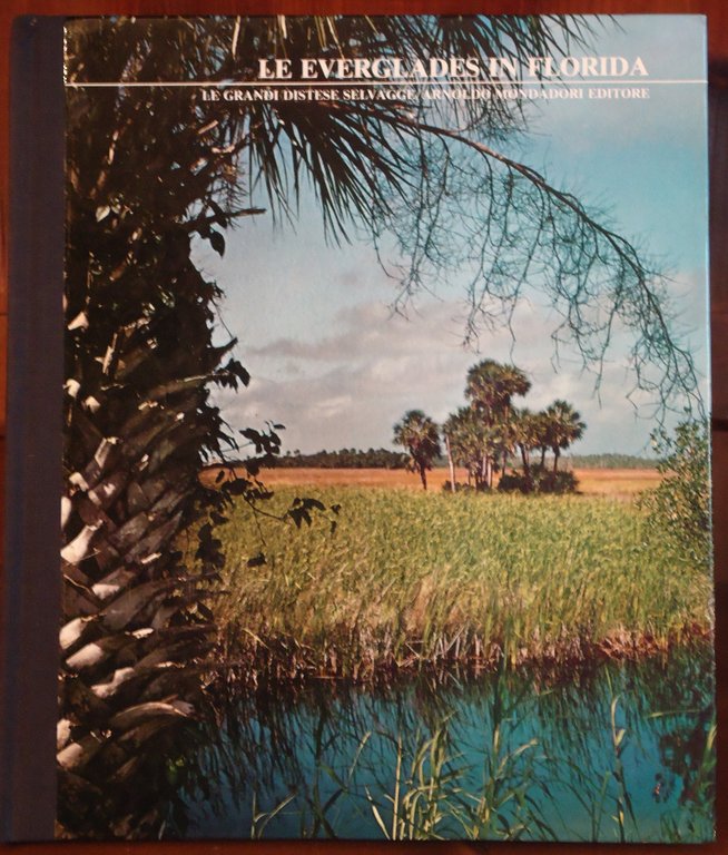 Le Everglades in Florida