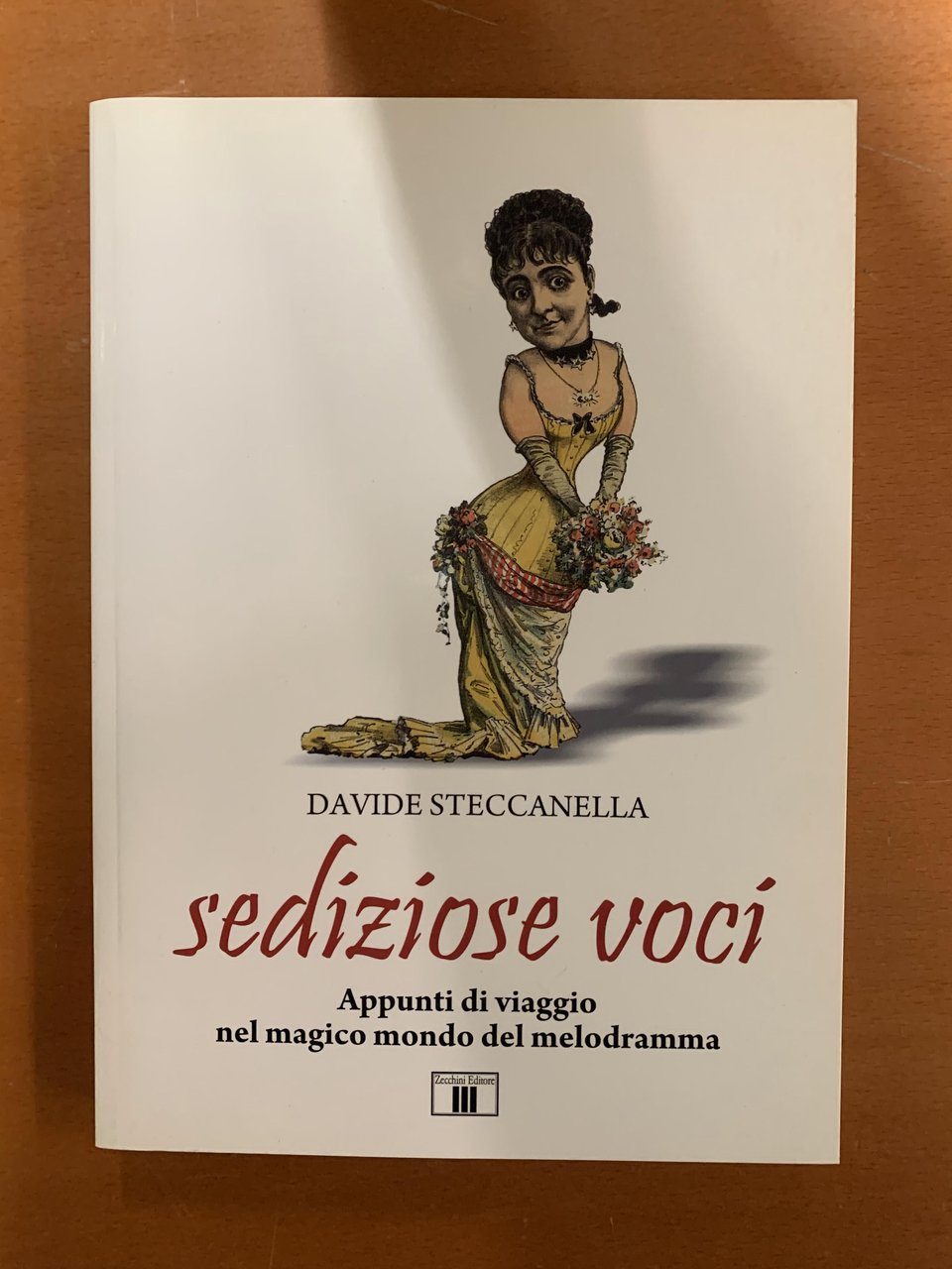 Davide Steccanella. Sediziose voci. Appunti di viaggio nel magico mondo …