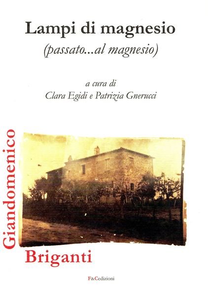 Lampi di magnesio (passato.al magnesio) Giandomenico Briganti