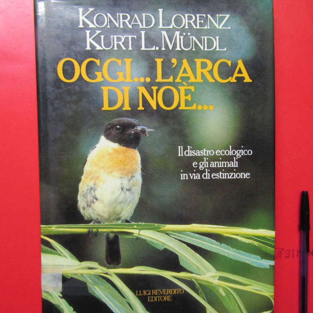 Oggi. L'Arca di Noé.