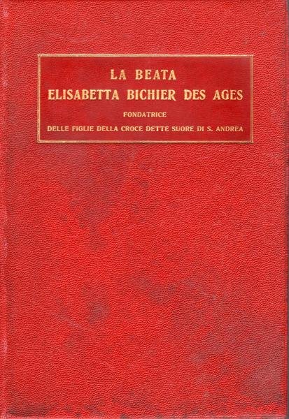 La beata Elisabetta Bichier Des Ages fondatrice delle figlie della … | Immagine principale