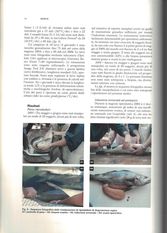 Acquacoltura in Toscana : studi e analisi di settore