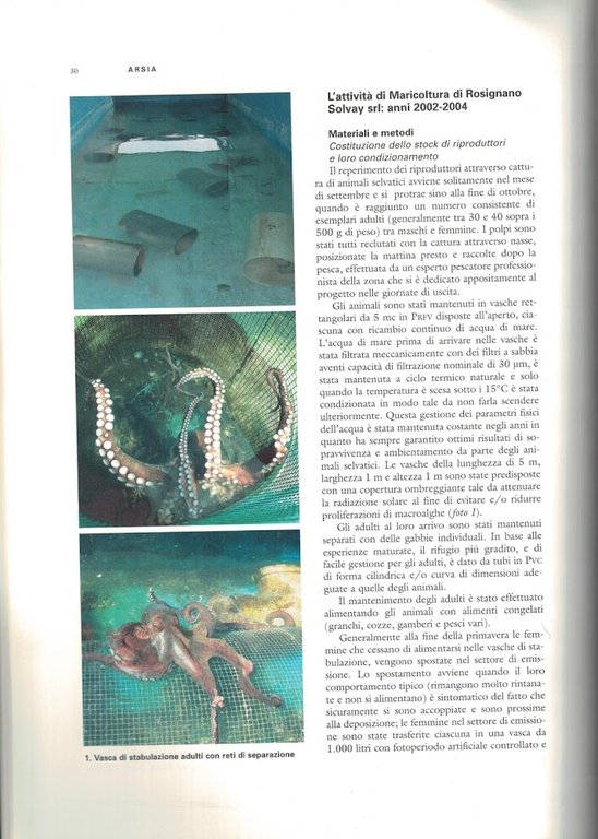 Acquacoltura in Toscana : studi e analisi di settore