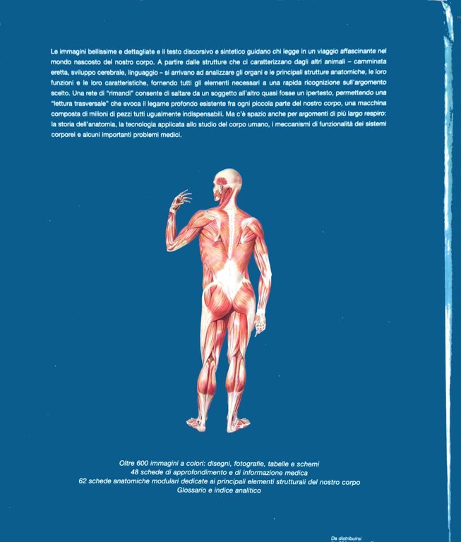 Atlante Enciclopedico del Corpo Umano