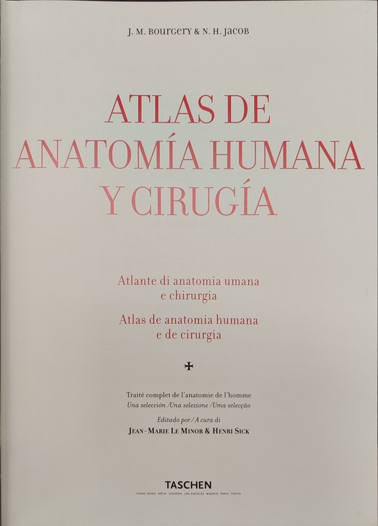 Atlas anatomy. Ediz. multilingue