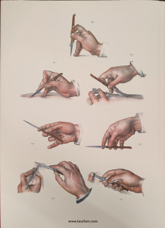 Atlas anatomy. Ediz. multilingue