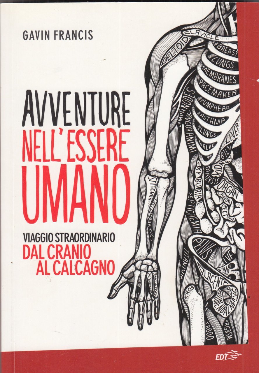 Avventure nell'essere umano. Viaggio straordinario dal cranio al calcagno | Immagine principale