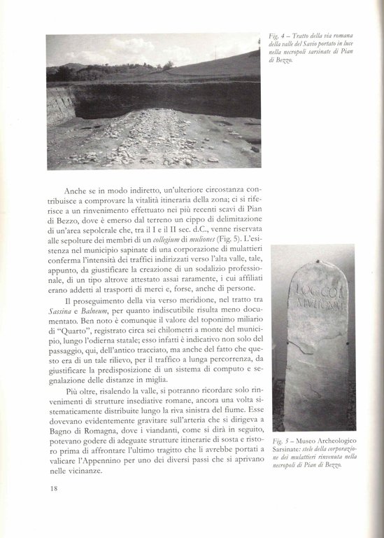 Bagno di Romagna nell'antichità. Le terme, l'insediamento, il territorio