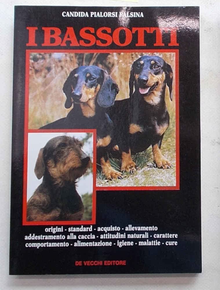 Bassotti | Immagine principale