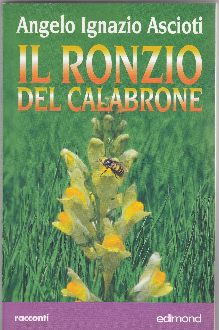 [Benaglia]: Collages paintings