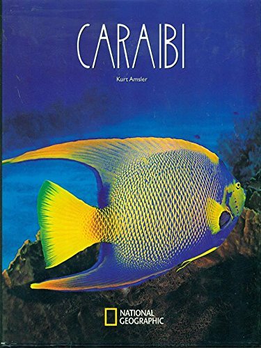 Caraibi