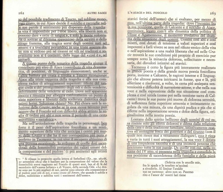 Carducci e altri saggi