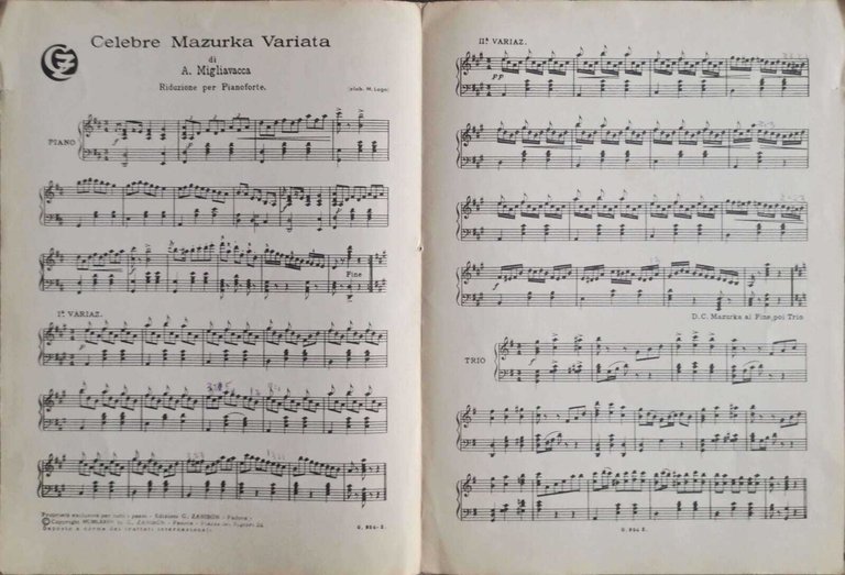 Celebre Mazurka Variata-3 spartiti