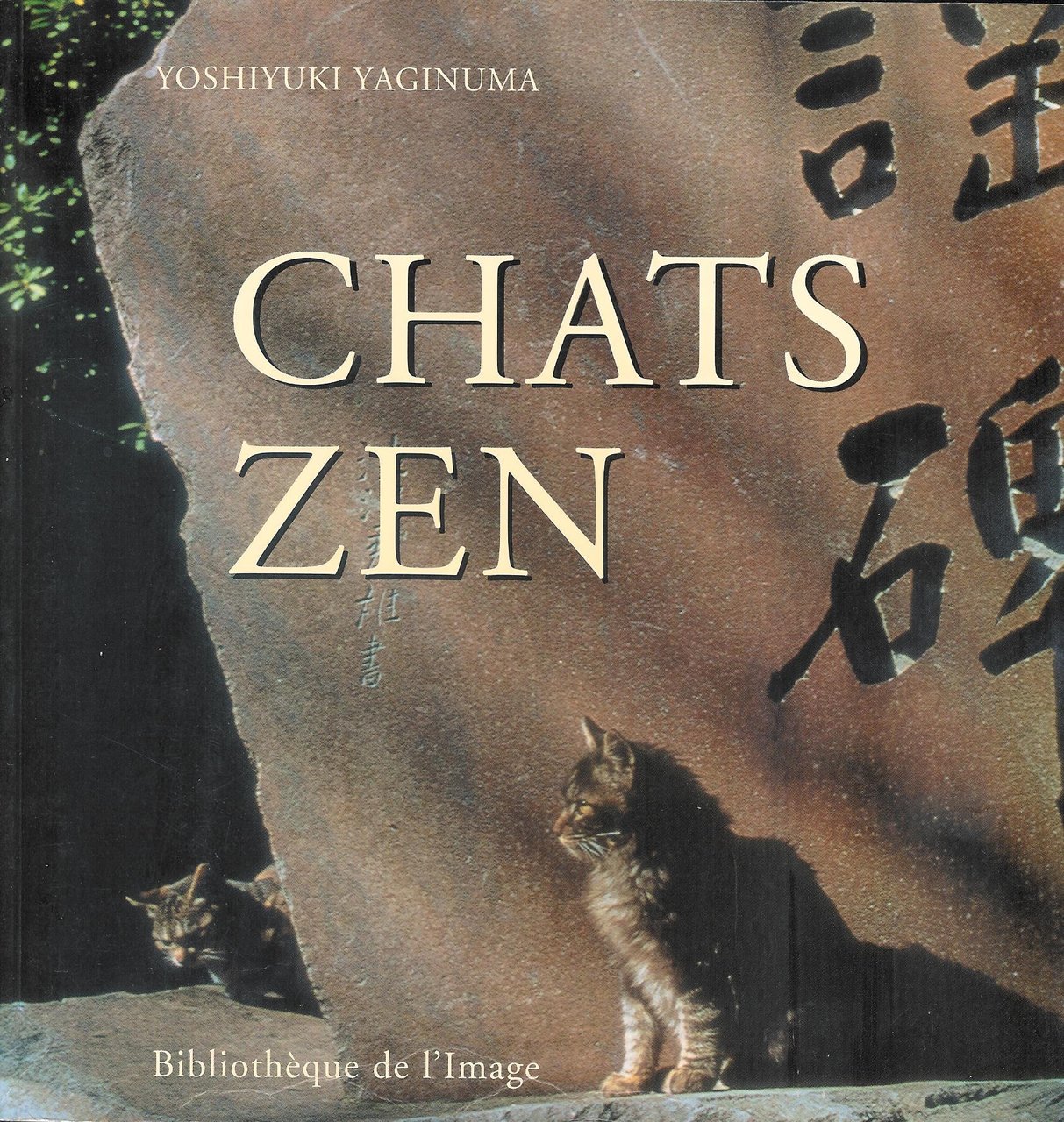 Chats Zen