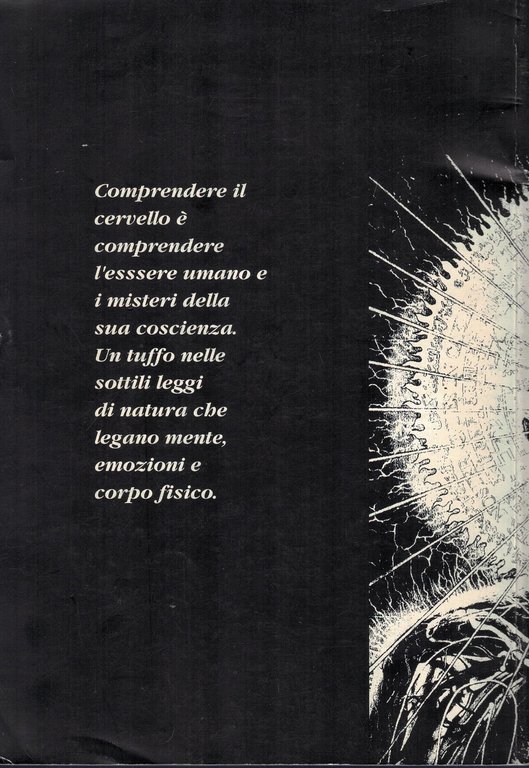 Cyber 53 le colonne della concezione olistica