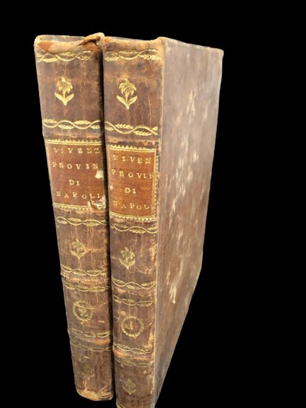 Delle Antiche Provincie del REGNO di NAPOLI e loro governo.Dalla …