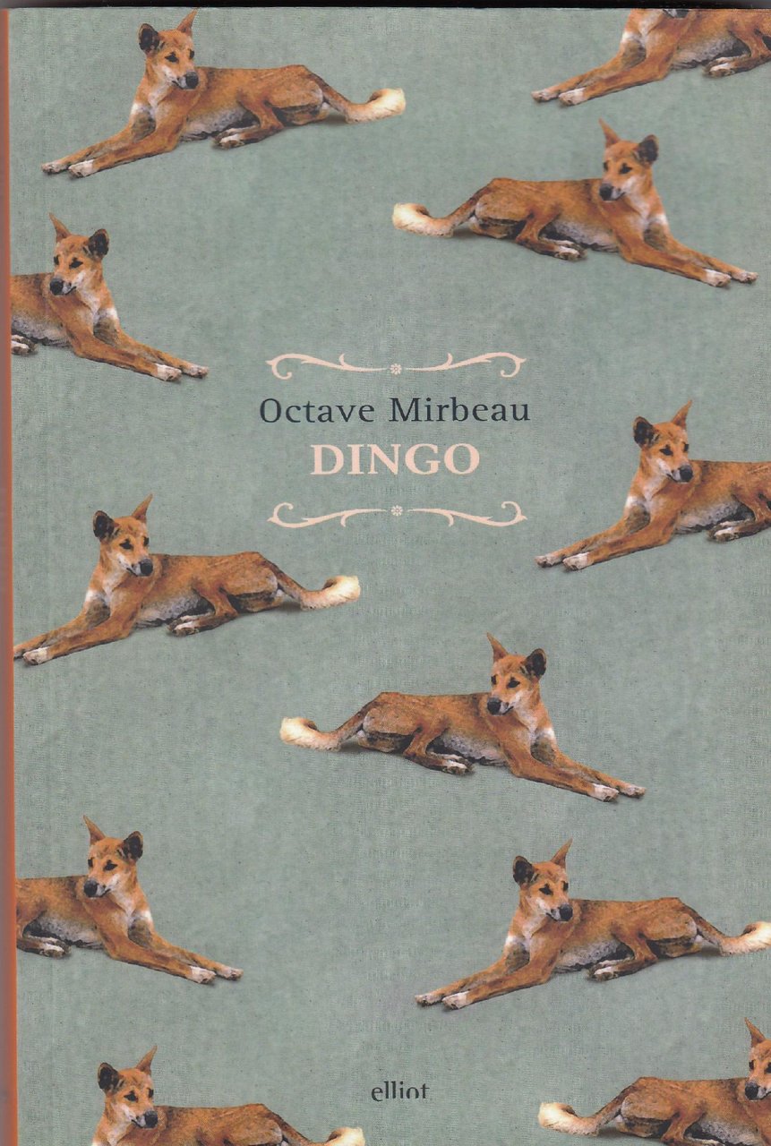 Dingo