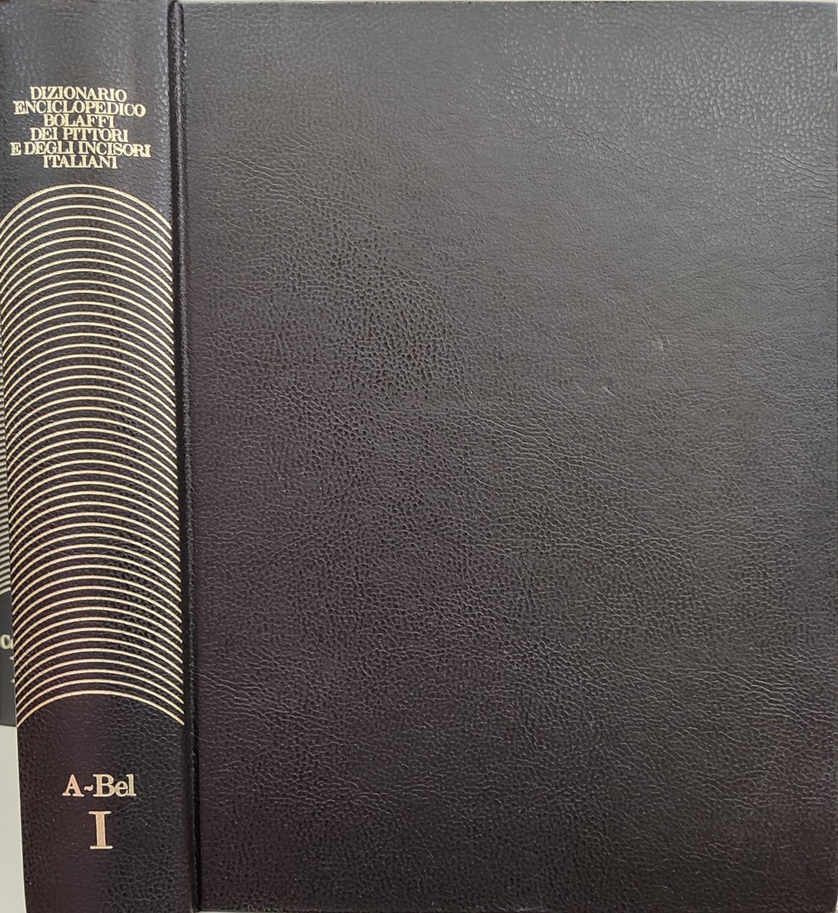 Dizionario Enciclopedico Bolaffi dei pittori e degli incisori italiani A-Z. … | Immagine principale