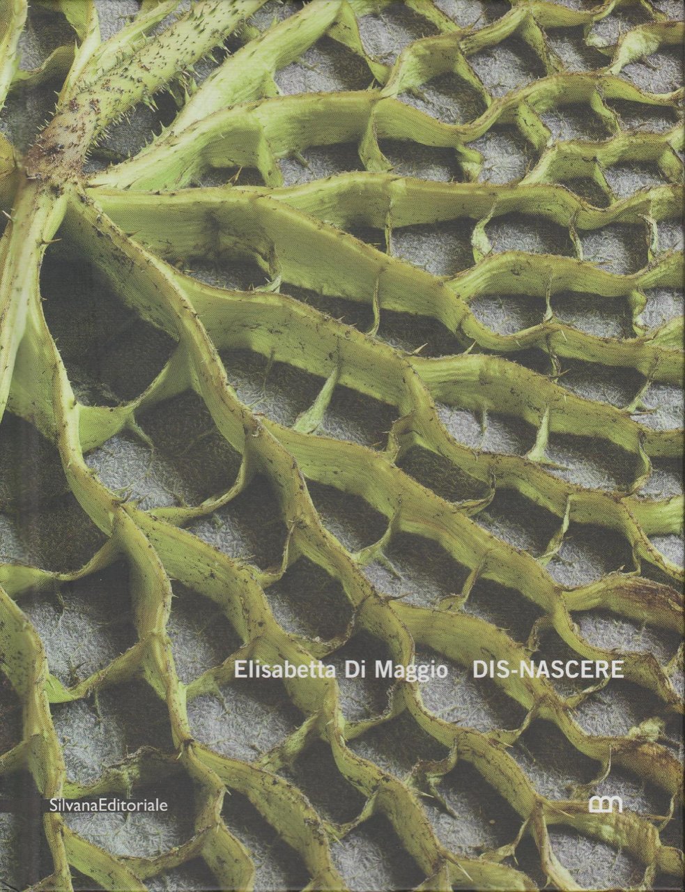 Elisabetta Di Maggio DIS-NASCERE