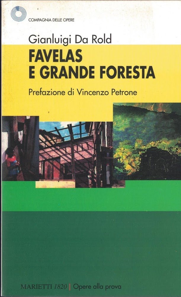 Favelas e grande foresta