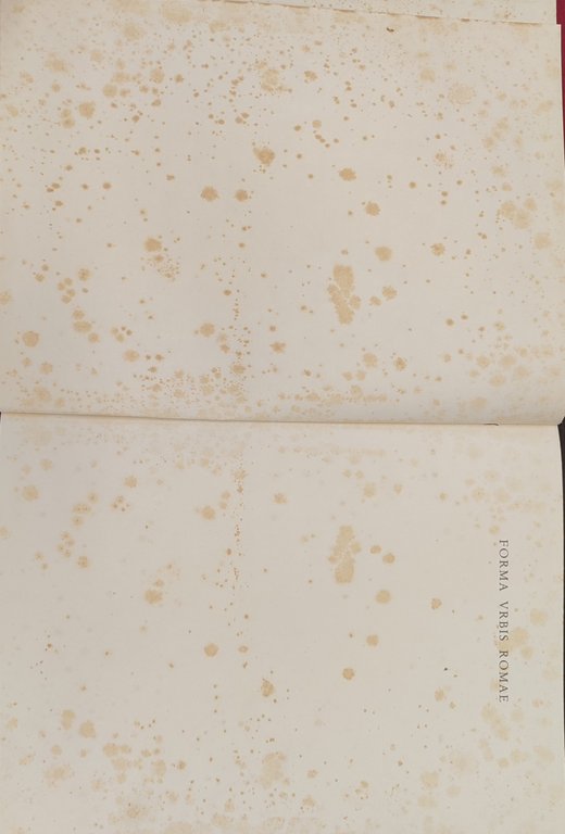 Forma vrbis romae | Immagine Gallery 3