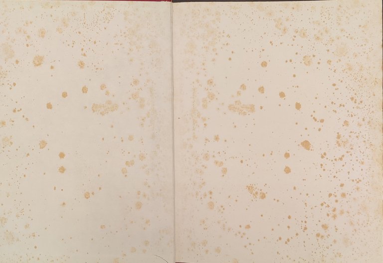 Forma vrbis romae | Immagine Gallery 4