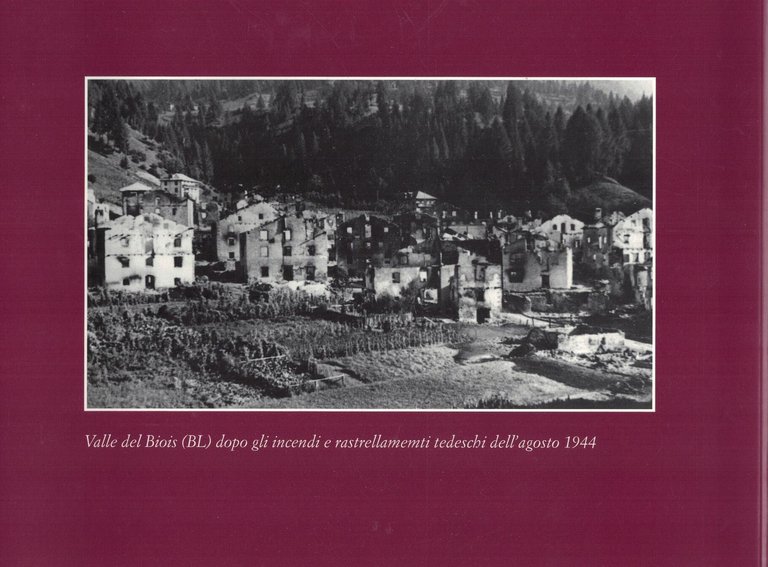 Guerra a Nord-Est. La seconda guerra mondiale nel Triveneto in …