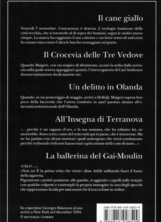 I Maigret: Il cane giallo-Il crocevia delle Tre Vedove-Un delitto … | Immagine Gallery 2