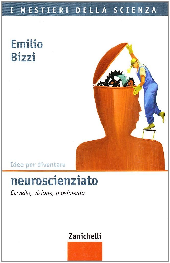 Idee per diventare neuroscienziato. Cervello, visione, movimento | Immagine principale
