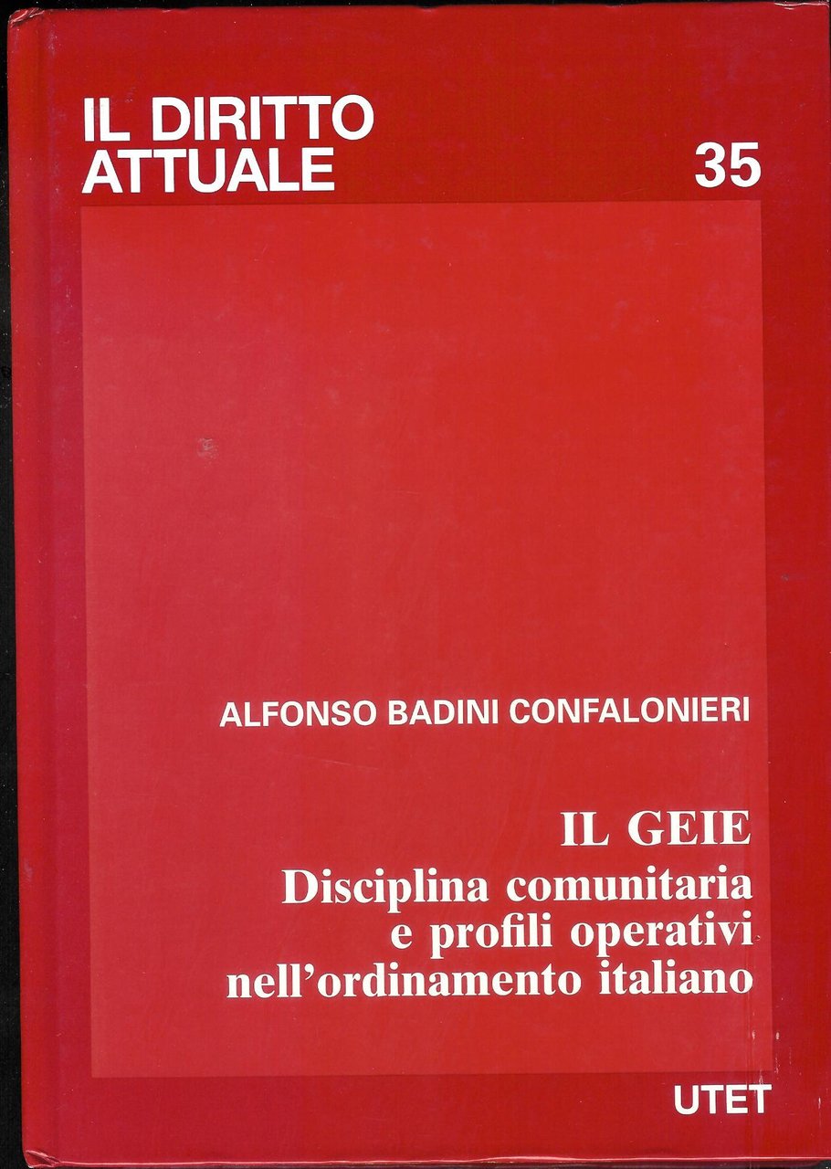 Il GEIE. Disciplina comunitaria e profili operativi nell'ordinamento italiano