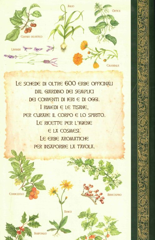 Il giardino dei semplici. Erbe, tisane e pratiche curative