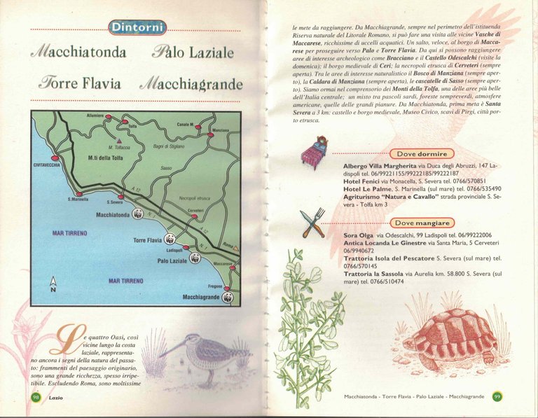 Il libro delle oasi e dintorni