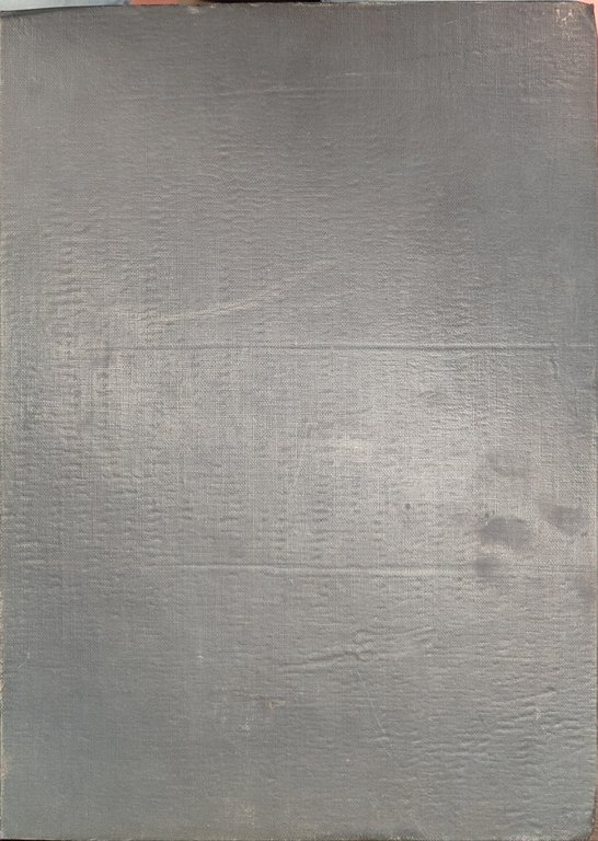 Il mobilio fiorentino.