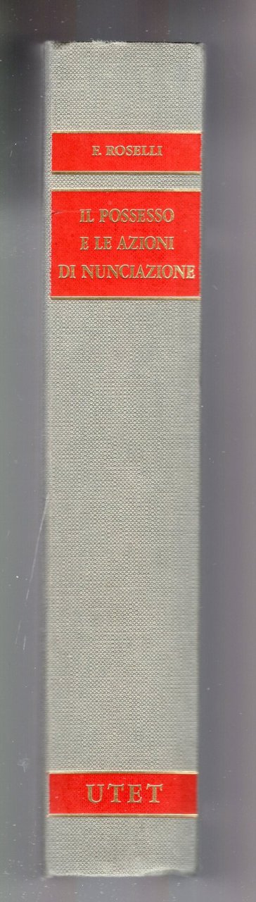 Il possesso e le azioni di nunciazione