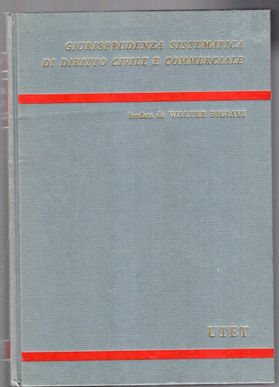 Il possesso e le azioni di nunciazione