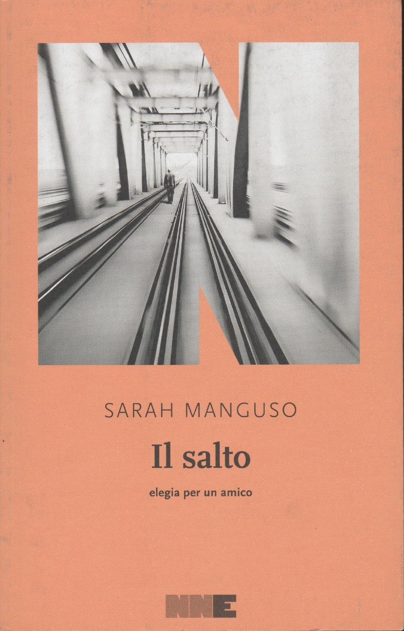 Il salto : elegia per un amico