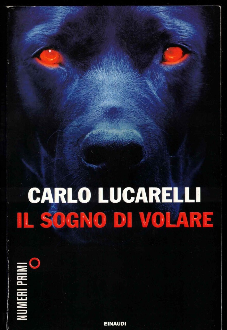 Il sogno di volare | Immagine principale