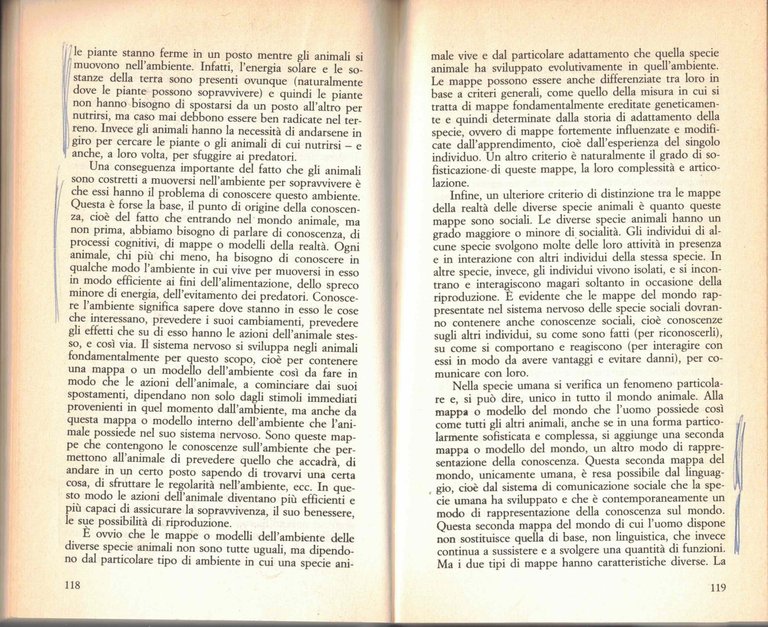 Intervista sulle reti neurali. Cervello e macchine intelligenti