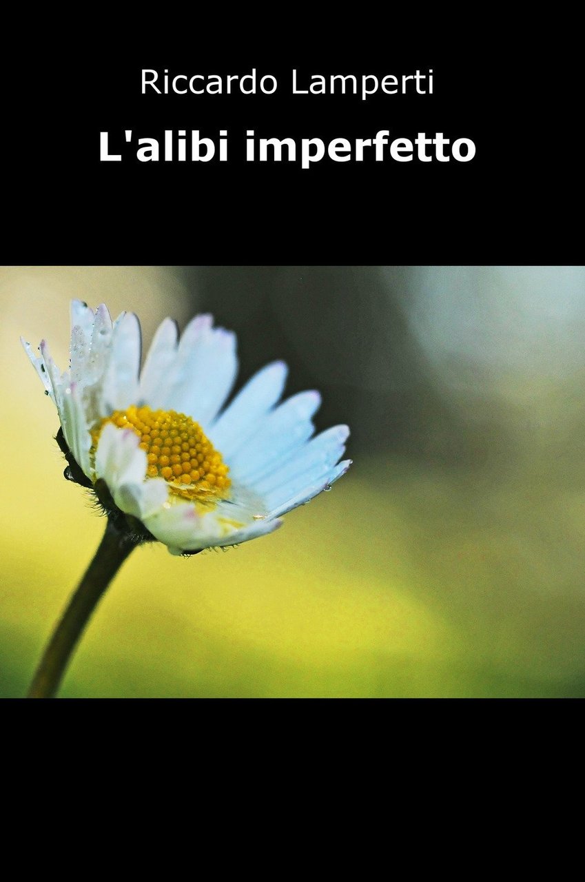L'alibi imperfetto | Immagine principale