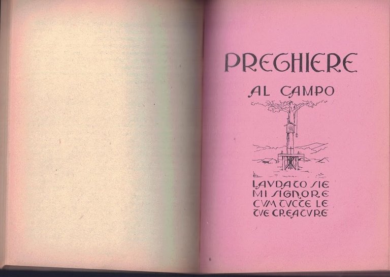 L'Assistente al Campo