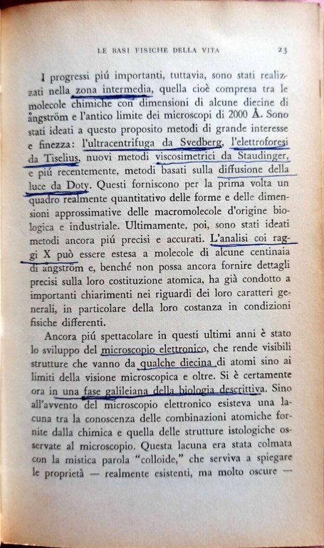 L'origine della vita